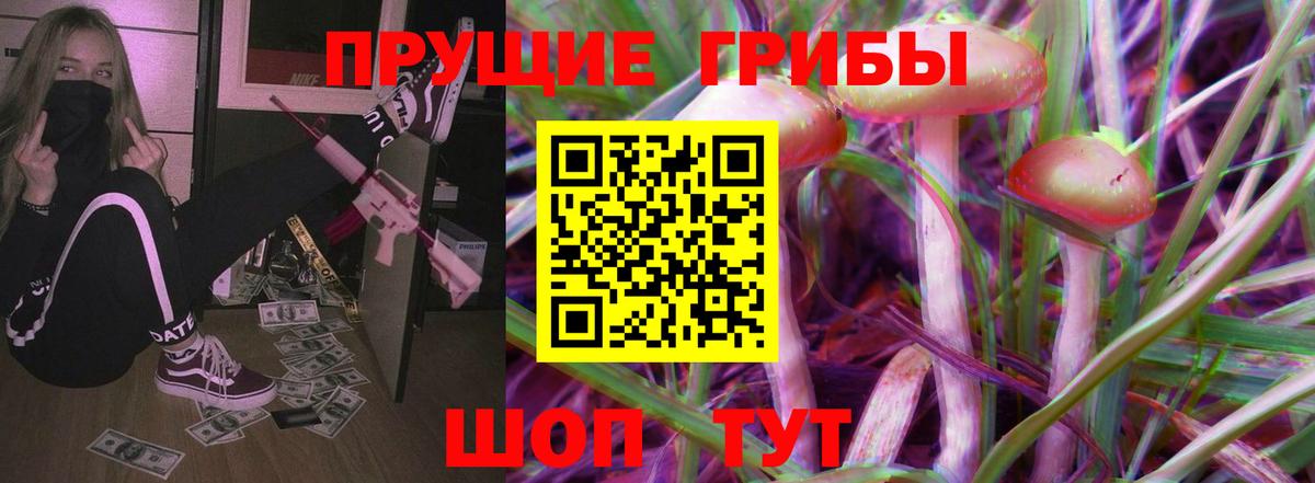 купить закладку  Псилоцибиновые грибы GOLDEN TEACHER  Вход с VPN  Железноводск 
